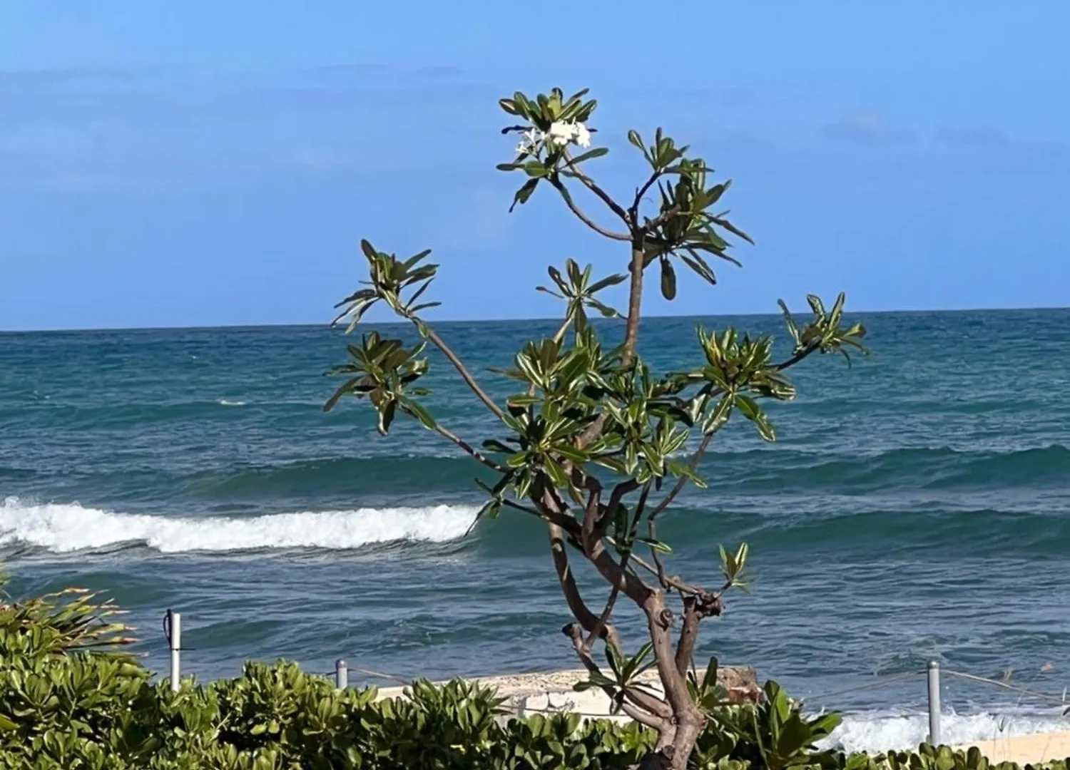 Ewa Beachhouse Apartment